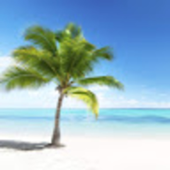 Meet your Posher, Monica - Picture 1 of 1